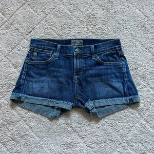 AGOLDE Zoe‎ Mid Rise Denim Shorts Women’s Size 25